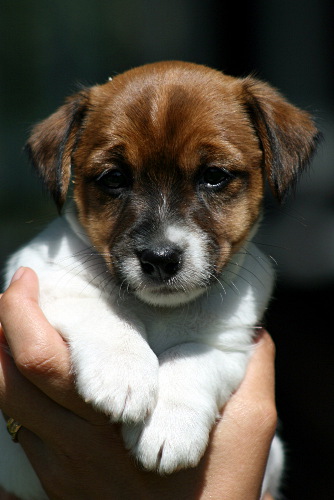 100628_ronja syli.jpg - Ronja, nyk. Lilli